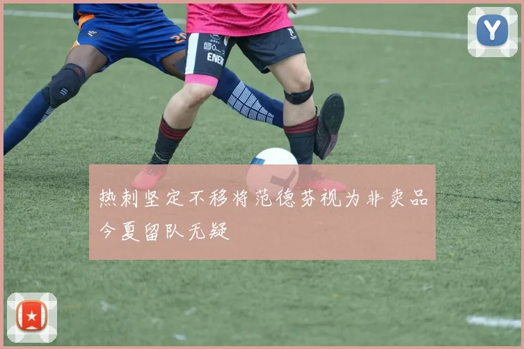 热刺坚定不移将范德芬视为非卖品今夏留队无疑