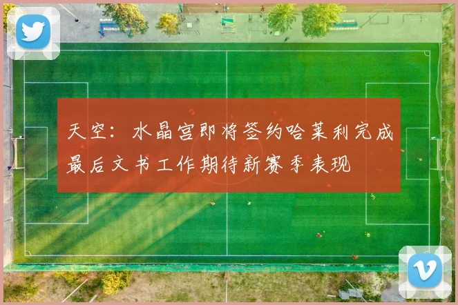 天空：水晶宫即将签约哈莱利完成最后文书工作期待新赛季表现